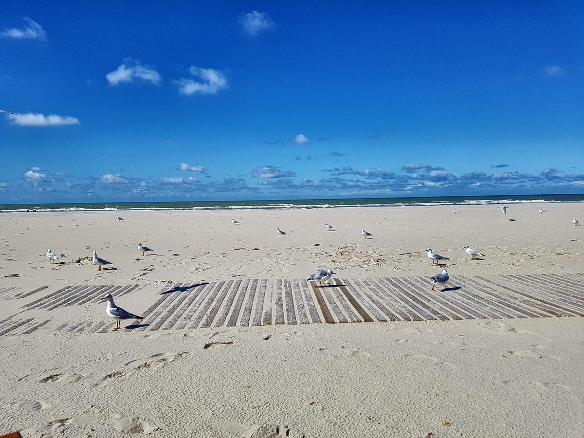 Les Coquillages, 2 Salles De Bain, Emplacement Ideal Berck 외부 사진